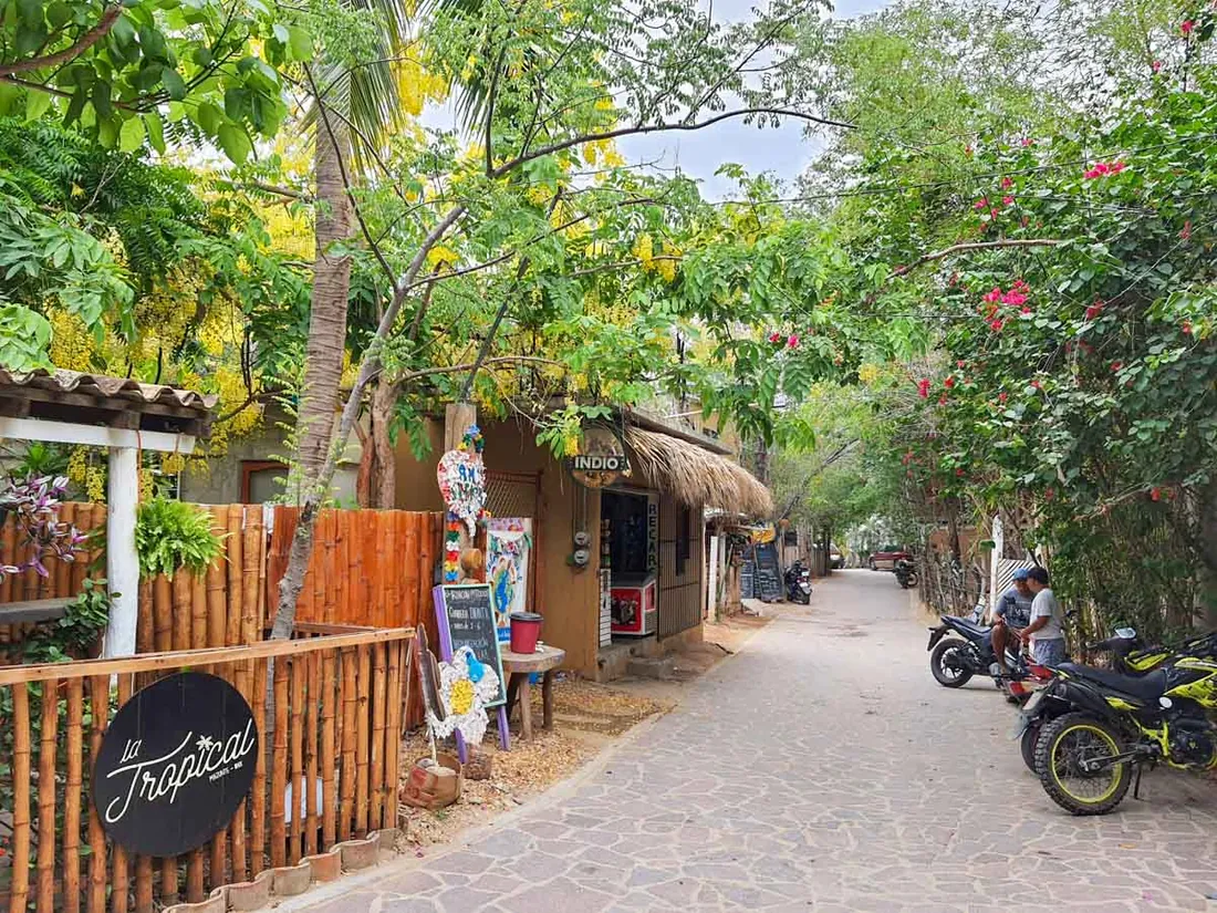Calle de Mazunte entre árboles y buganvilias