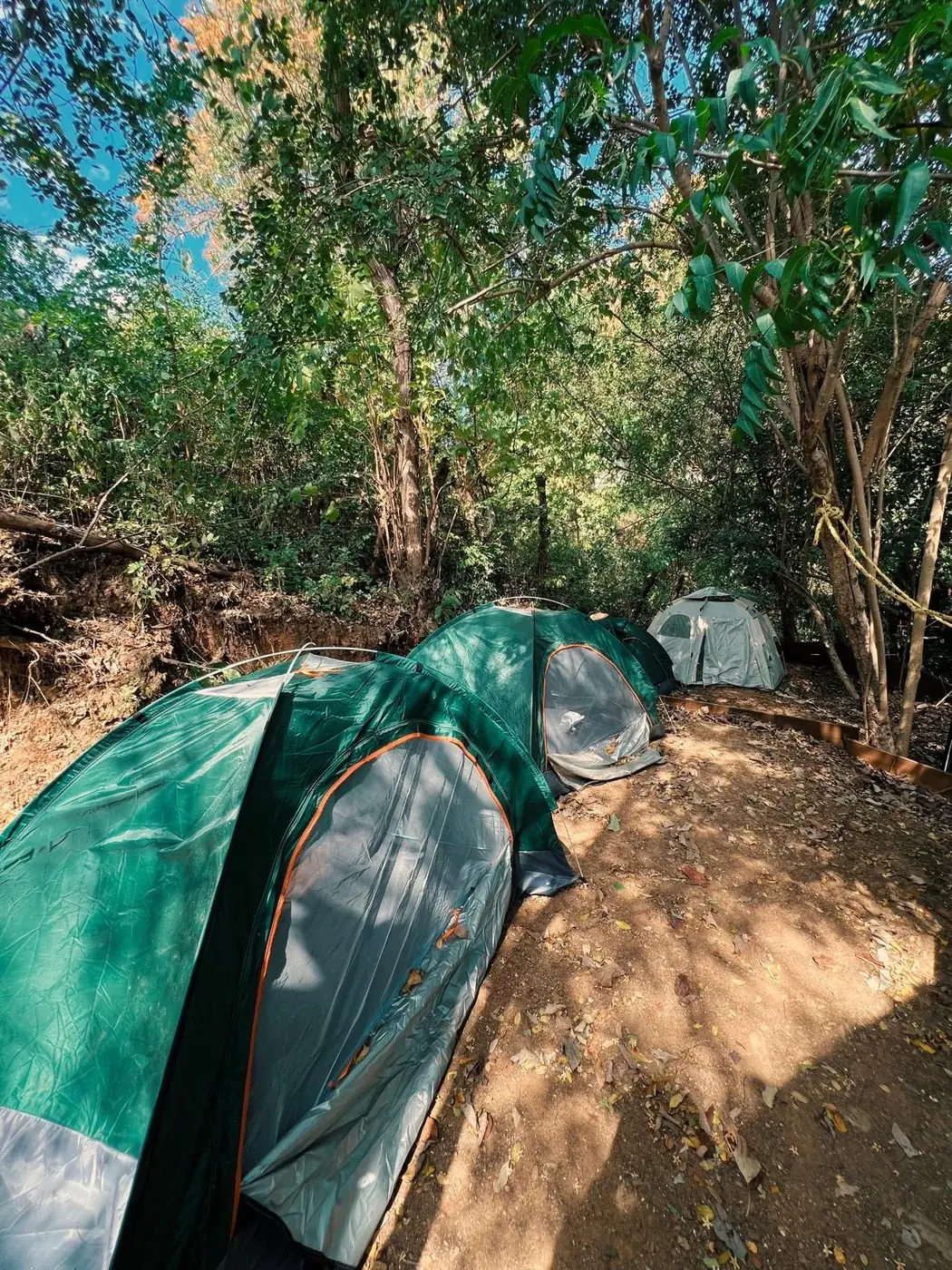 Carpas montadas entre los árboles en Casa Yeshua